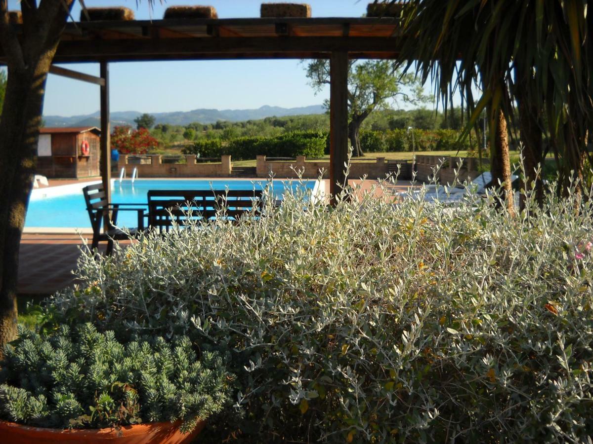 Agriturismo Podere Del Vescovo Montenero d'Orcia Eksteriør billede