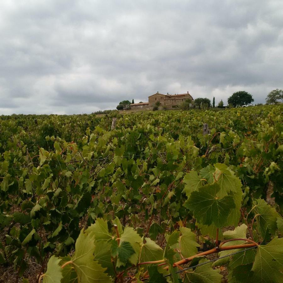 Agriturismo Podere Del Vescovo Montenero d'Orcia Eksteriør billede