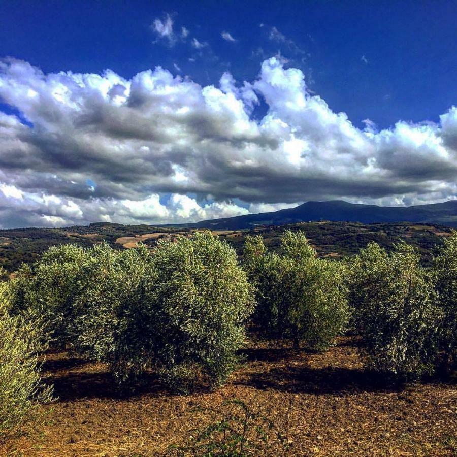 Agriturismo Podere Del Vescovo Montenero d'Orcia Eksteriør billede