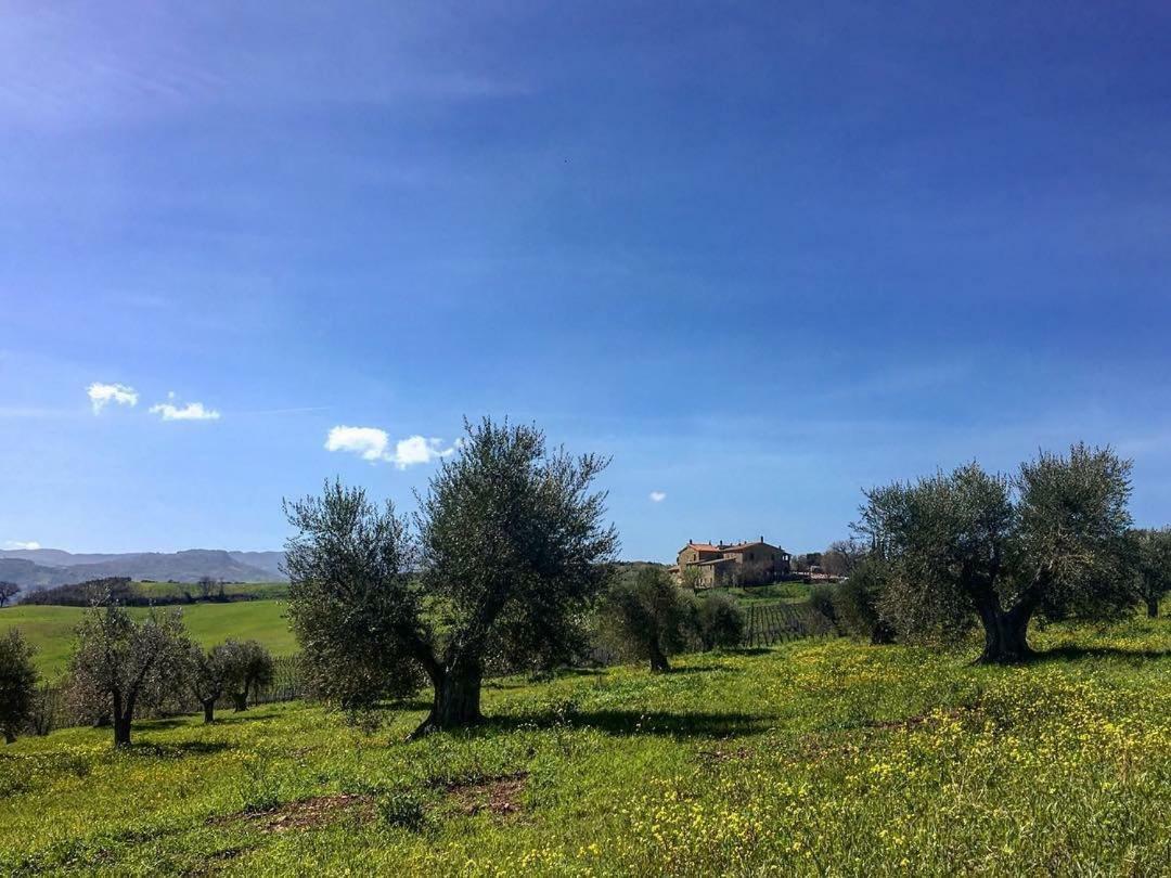 Agriturismo Podere Del Vescovo Montenero d'Orcia Eksteriør billede